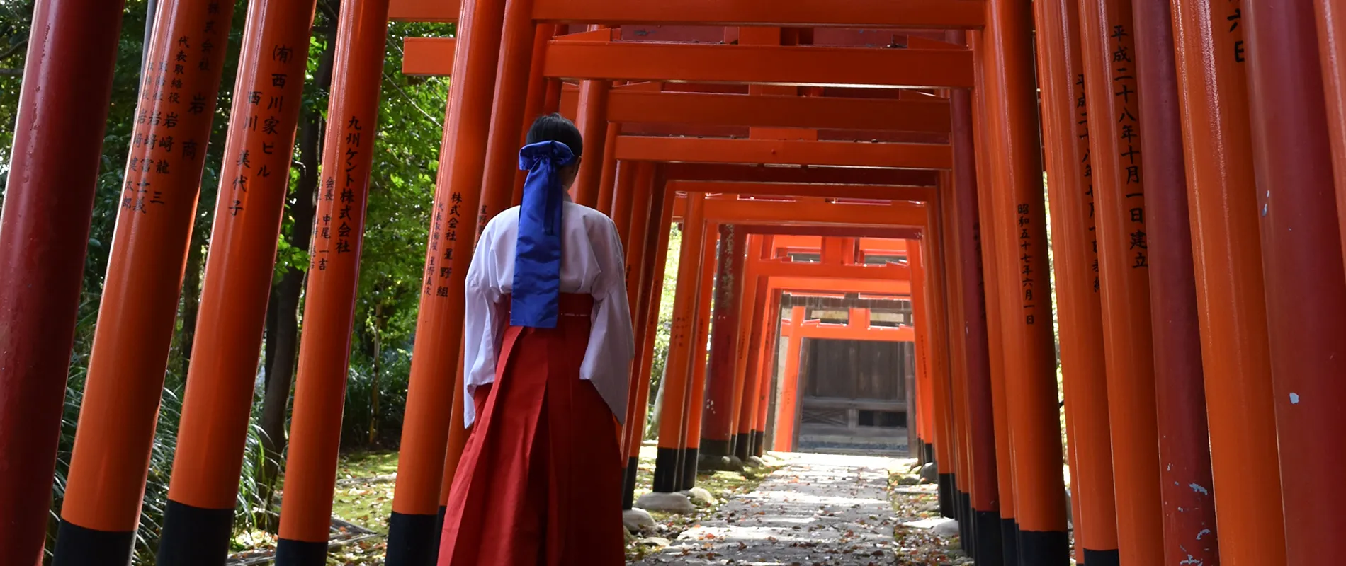 諏訪神社の写真 2