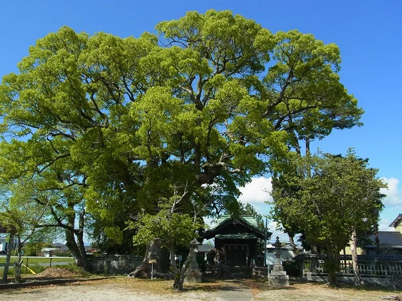 下飯盛八幡神社の写真 3